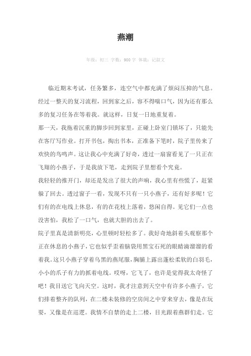 燕潮900字作文