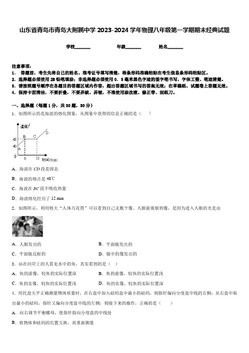 山东省青岛市青岛大附属中学2023-2024学年物理八年级第一学期期末经典试题含答案