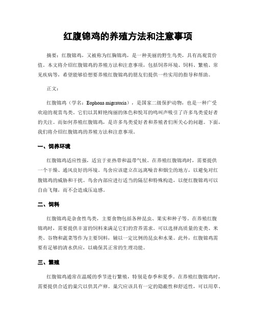 红腹锦鸡的养殖方法和注意事项