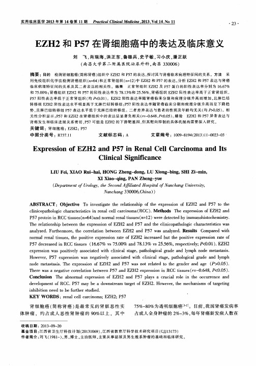 EZH2和P57在肾细胞癌中的表达及临床意义