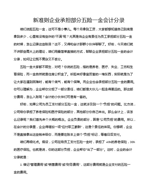 新准则企业承担部分五险一金会计分录