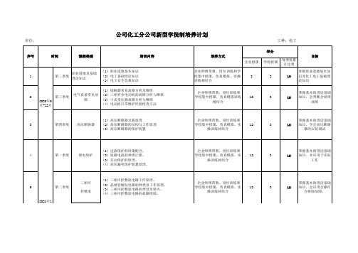 电工培养计划表