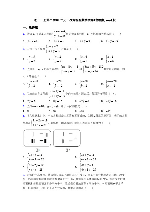 初一下册第二学期 二元一次方程组数学试卷(含答案)word版