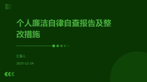 个人廉洁自律自查报告及整改措施