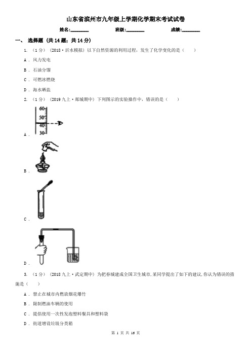 山东省滨州市九年级上学期化学期末考试试卷