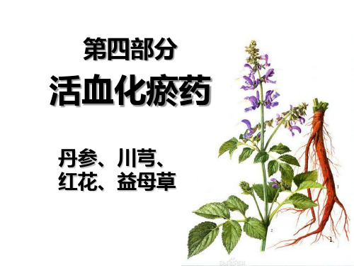 活血化瘀药精品PPT课件