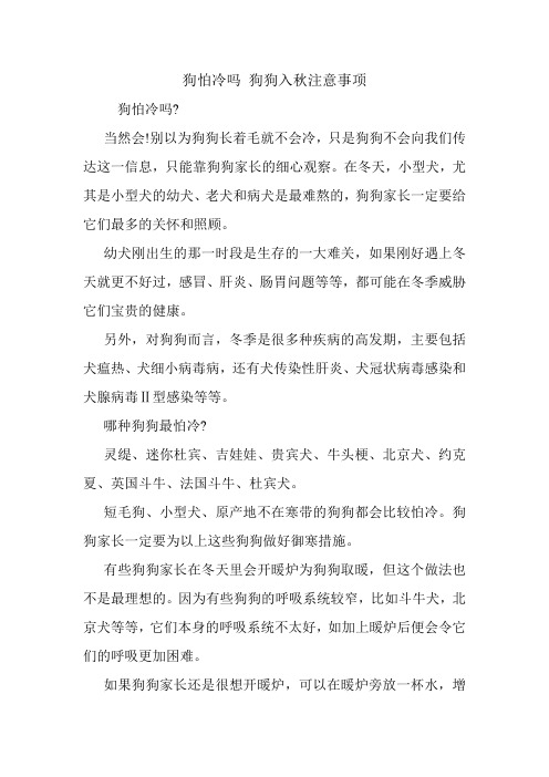 狗怕冷吗 狗狗入秋注意事项