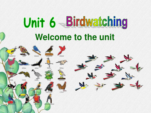 公开课获奖《Unit6-Bird-watching-》课件(公开课)