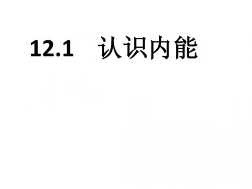 沪粤版12.1认识内能