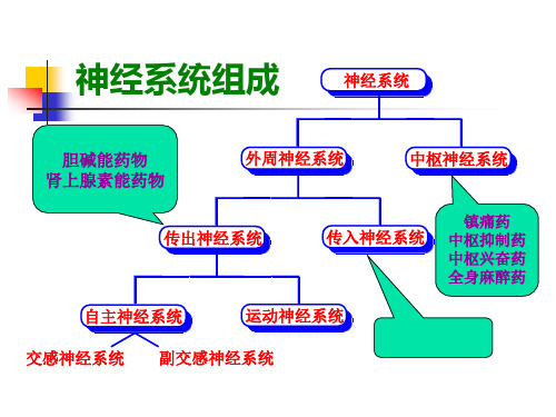 药物化学北大04精品PPT课件