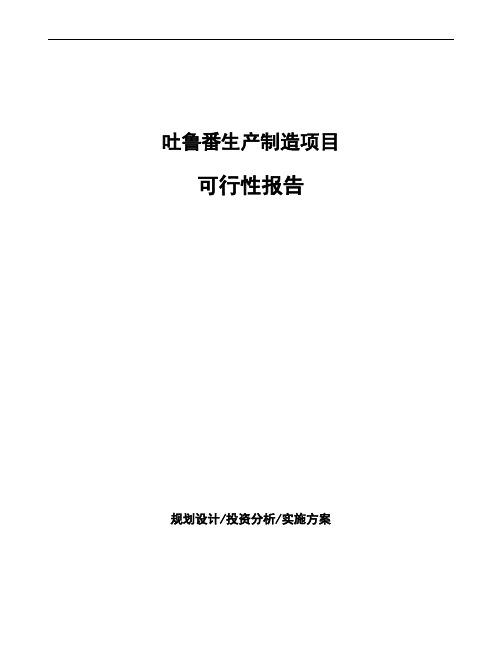 吐鲁番项目可行性报告(立项模板)