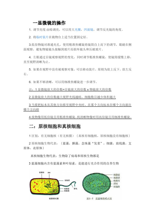 高中必修一生物第一章第二节细胞多样性和统一性知识点总结