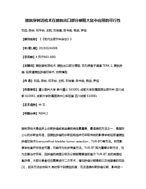 膀胱穿刺活检术在膀胱出口部分梗阻大鼠中应用的可行性