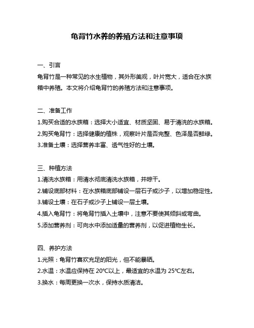 龟背竹水养的养殖方法和注意事项