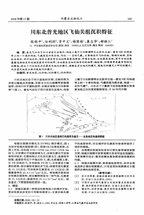 川东北普光地区飞仙关组沉积特征