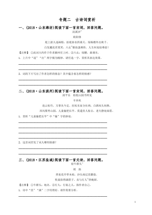 山东省菏泽市2019年中考语文总复习专题二古诗词赏析同步训练-精品