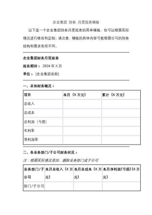 企业集团 财务 月度报表模板