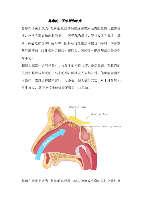 鼻疖的中医诊断和治疗