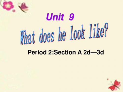 【四清导航】七年级英语下册 Unit 9 What does he look like Period 2课件 (新版)人教新目标版