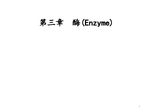 生物化学：enzyme