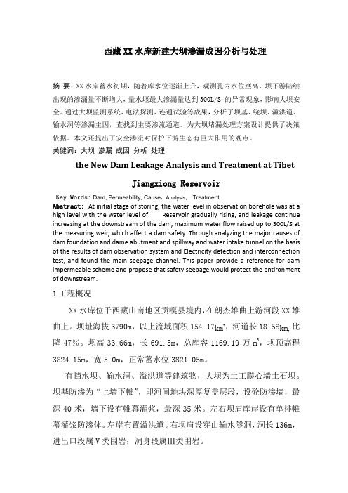 [西藏]新建大坝渗漏成因分析与处理