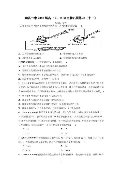 瑞昌二中2018届高一9、11班生物巩固练习(十一)