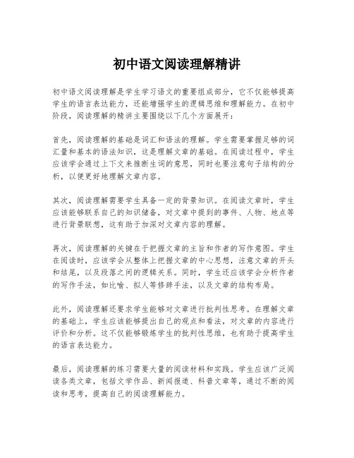 初中语文阅读理解精讲