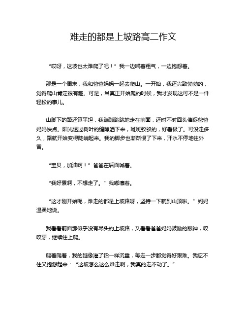 难走的都是上坡路高二作文