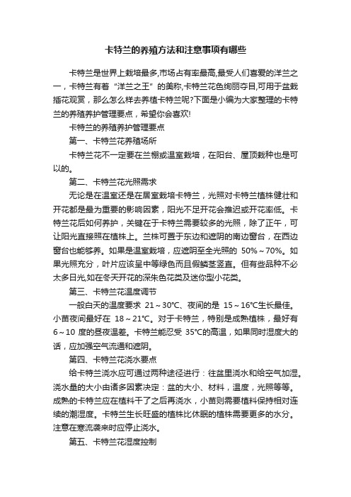 卡特兰的养殖方法和注意事项有哪些