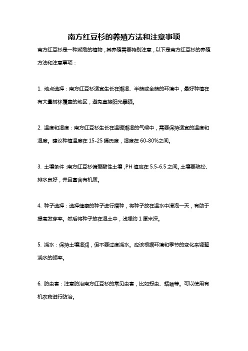 南方红豆杉的养殖方法和注意事项