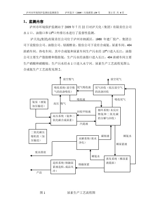 监督性监测报告模板