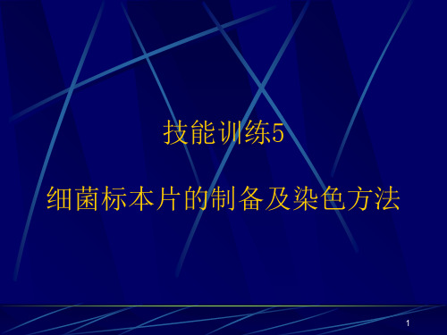 细菌标本片的制备及染色方法PPT精选文档