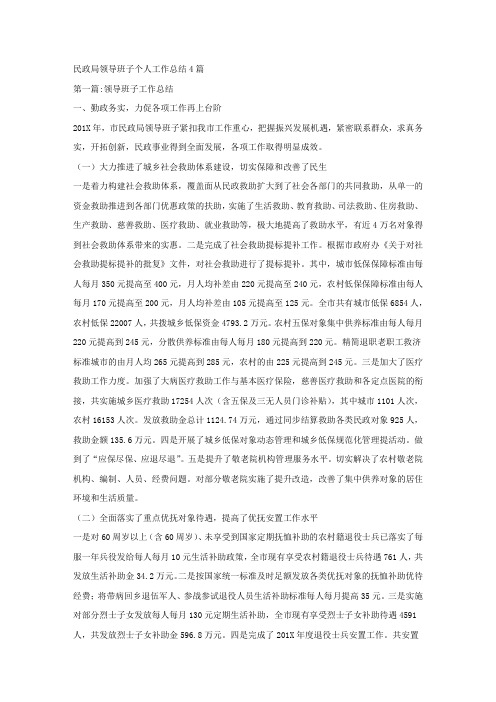 民政局领导班子个人工作总结4篇.docx