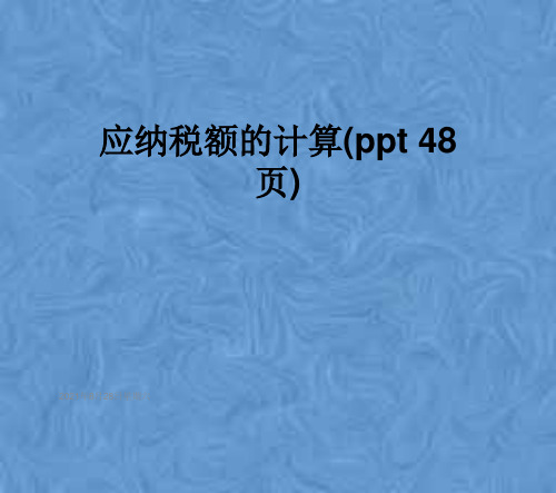 应纳税额的计算(ppt 48页)