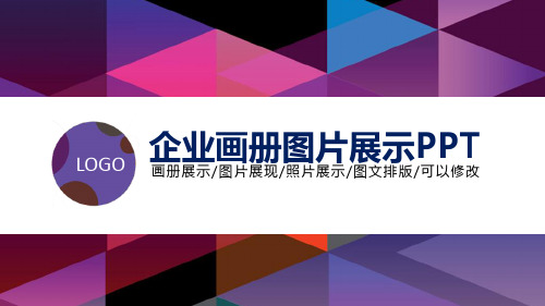 最新企业简介产品介绍合作洽谈创业融资通用模板 (43)