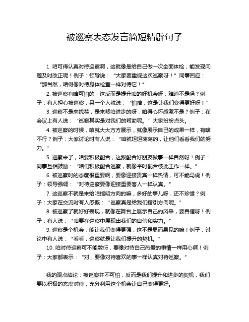 被巡察表态发言简短精辟句子