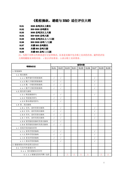 船舶操纵、避碰与BRM评估大纲