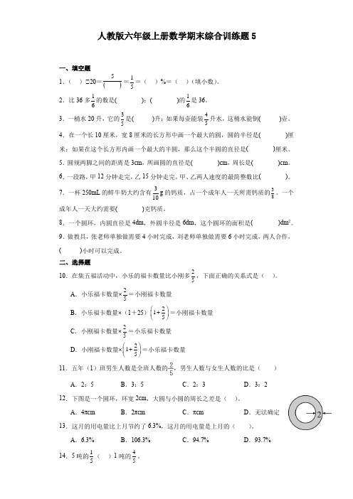 人教版六年级上册数学期末综合训练题5