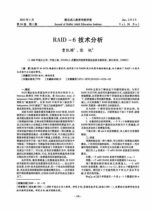 RAID-6技术分析