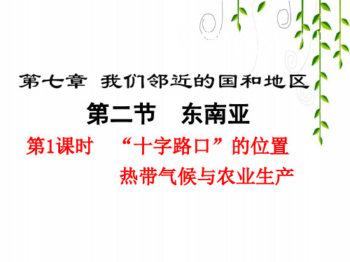2021年七年级地理下册第1课时 “十字路口”的位置 热带气候与农业生产课件