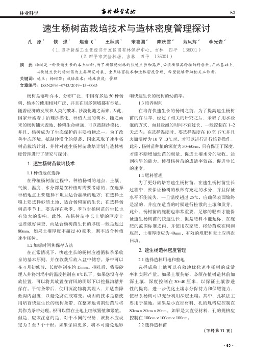 速生杨树苗栽培技术与造林密度管理探讨