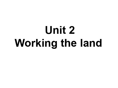 高考英语复习高二unit2复习课件(201912)