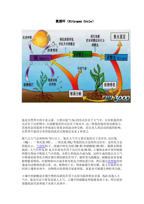 氮循环(Nitrogen Cycle)