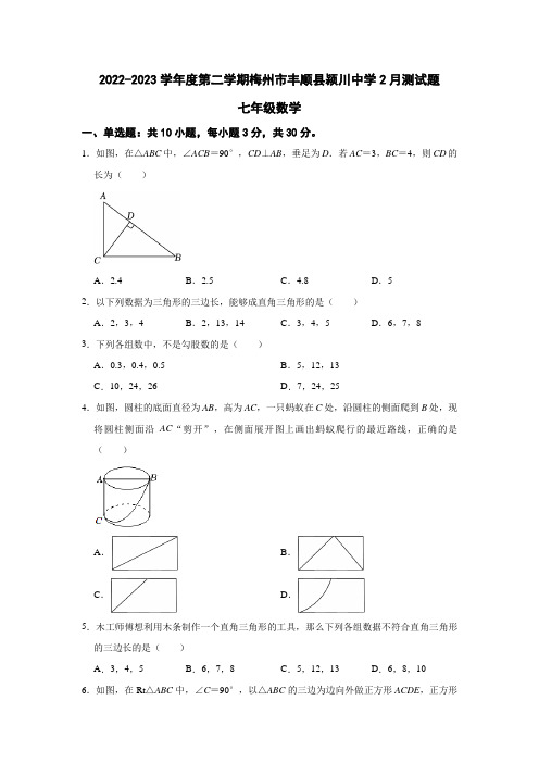 广东省梅州市丰顺县石江中学2022-2023学年七年级下学期2月月考数学试题(含解析)