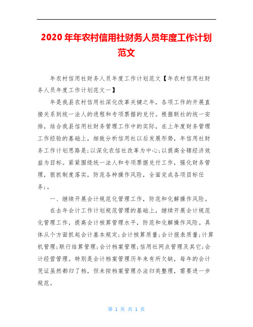 2020年年农村信用社财务人员年度工作计划范文