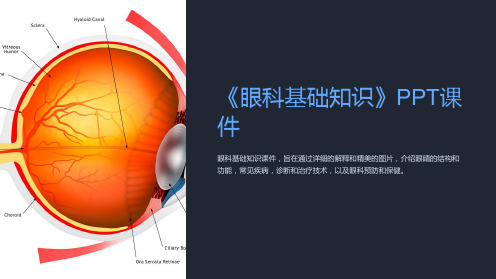 《眼科基础知识》课件