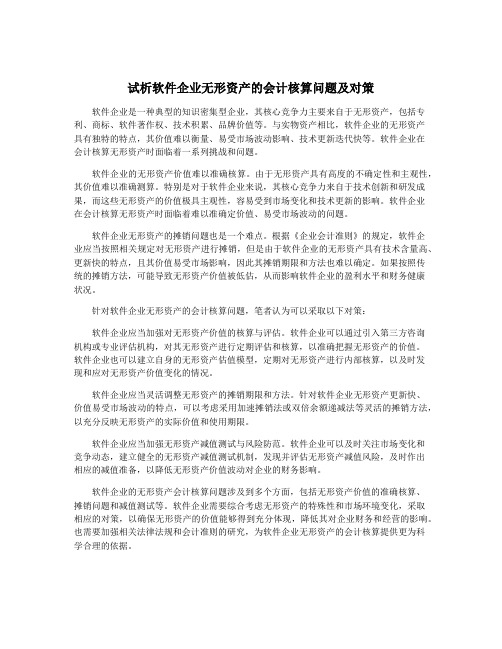 试析软件企业无形资产的会计核算问题及对策