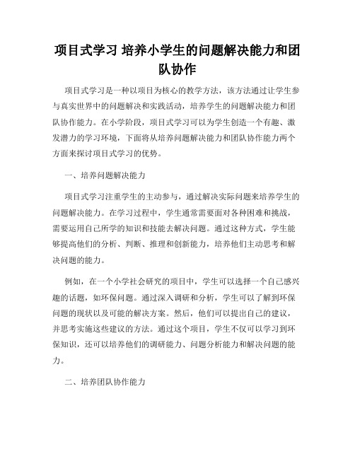 项目式学习 培养小学生的问题解决能力和团队协作