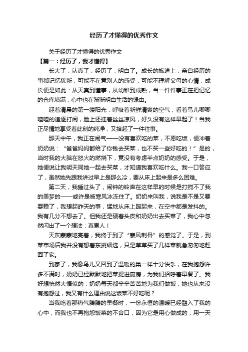 关于经历了才懂得的优秀作文