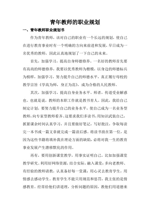 青年教师的职业规划